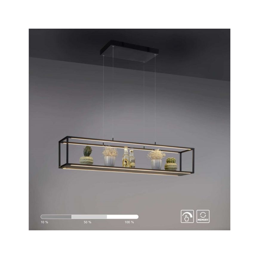Paul Neuhaus 2441-18 - LED Dimmable chandelier on a string CONTURA 4xLED/8W/230V