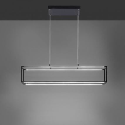 Paul Neuhaus 2441-18 - LED Dimmable chandelier on a string CONTURA 4xLED/8W/230V