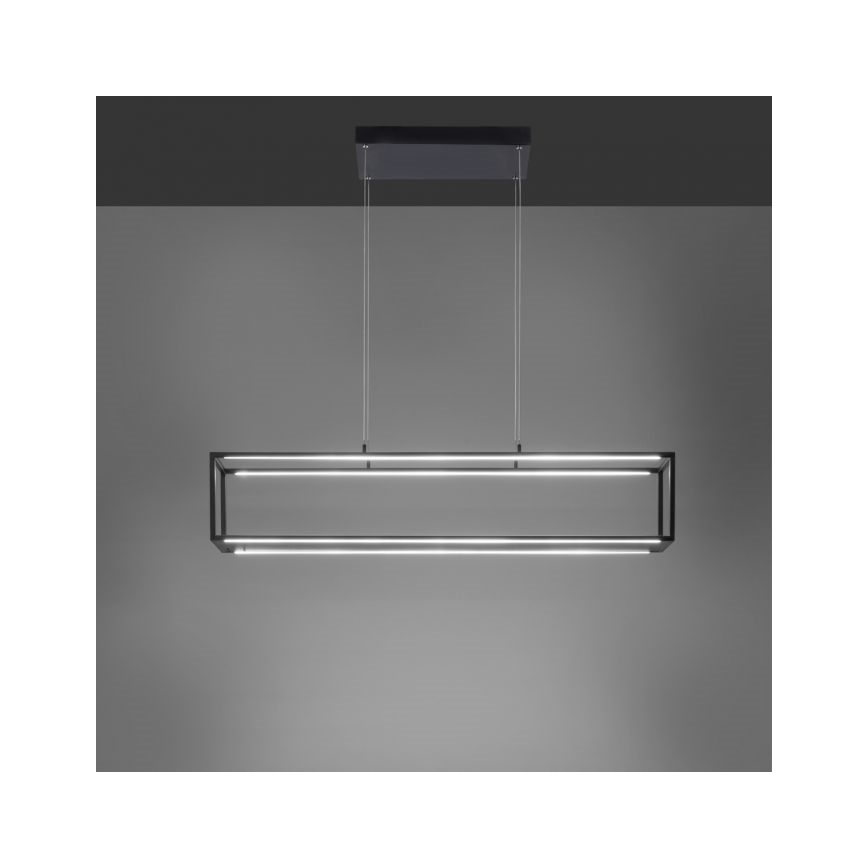 Paul Neuhaus 2441-18 - LED Dimmable chandelier on a string CONTURA 4xLED/8W/230V