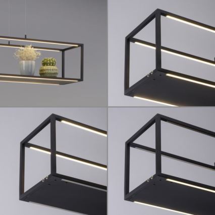 Paul Neuhaus 2441-18 - LED Dimmable chandelier on a string CONTURA 4xLED/8W/230V