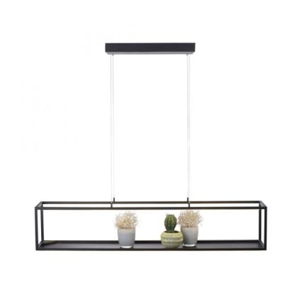 Paul Neuhaus 2441-18 - LED Dimmable chandelier on a string CONTURA 4xLED/8W/230V