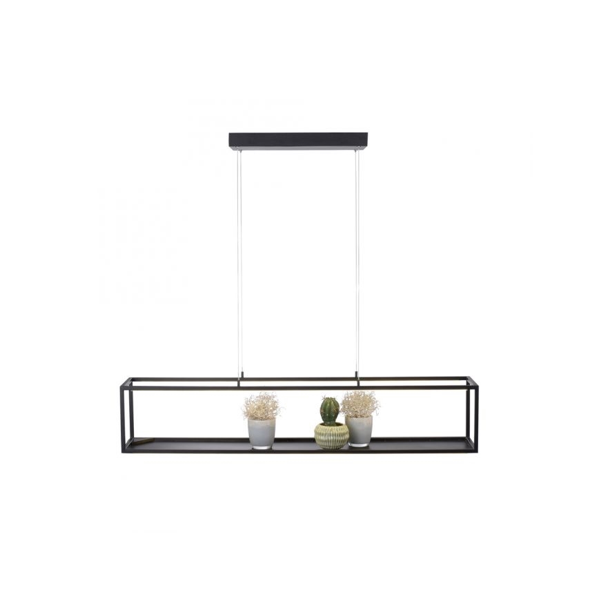 Paul Neuhaus 2441-18 - LED Dimmable chandelier on a string CONTURA 4xLED/8W/230V
