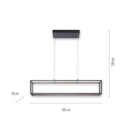 Paul Neuhaus 2441-18 - LED Dimmable chandelier on a string CONTURA 4xLED/8W/230V