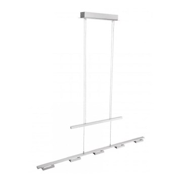 Paul Neuhaus 2446-55 - LED Dimmable chandelier on a string INIGO 5xLED/4W/230V