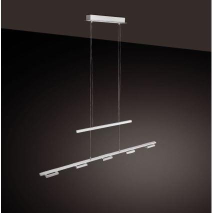 Paul Neuhaus 2446-55 - LED Dimmable chandelier on a string INIGO 5xLED/4W/230V