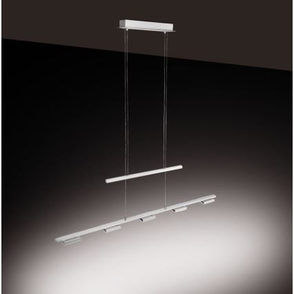 Paul Neuhaus 2446-55 - LED Dimmable chandelier on a string INIGO 5xLED/4W/230V