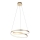 Paul Neuhaus 2472-12 - LED Dimmable chandelier on a string ROMAN LED/30W/230V gold
