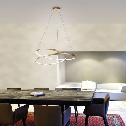 Paul Neuhaus 2472-12 - LED Dimmable chandelier on a string ROMAN LED/30W/230V gold