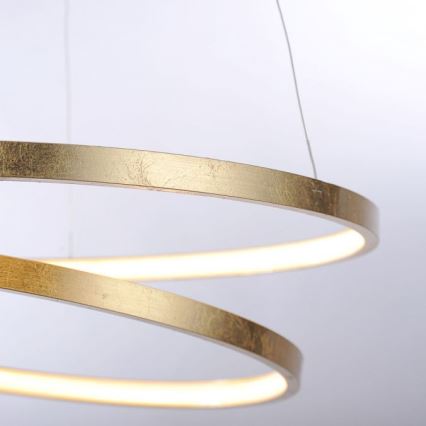 Paul Neuhaus 2472-12 - LED Dimmable chandelier on a string ROMAN LED/30W/230V gold