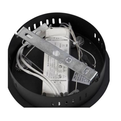 Paul Neuhaus 2472-18 - LED Dimmable chandelier on a string ROMAN LED/30W/230V black