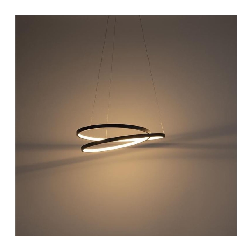 Paul Neuhaus 2472-18 - LED Dimmable chandelier on a string ROMAN LED/30W/230V black