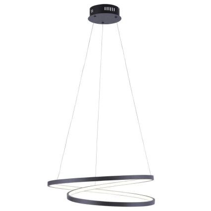 Paul Neuhaus 2472-18 - LED Dimmable chandelier on a string ROMAN LED/30W/230V black