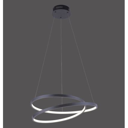 Paul Neuhaus 2472-18 - LED Dimmable chandelier on a string ROMAN LED/30W/230V black
