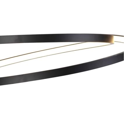 Paul Neuhaus 2472-18 - LED Dimmable chandelier on a string ROMAN LED/30W/230V black