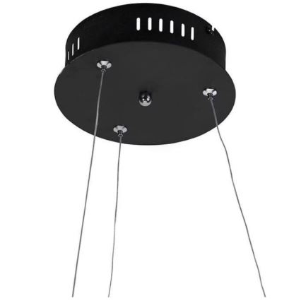 Paul Neuhaus 2472-18 - LED Dimmable chandelier on a string ROMAN LED/30W/230V black