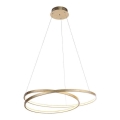 Paul Neuhaus 2474-12 - LED Dimmable chandelier on a string ROMAN LED/40W/230V gold