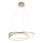 Paul Neuhaus 2474-12 - LED Dimmable chandelier on a string ROMAN LED/40W/230V gold