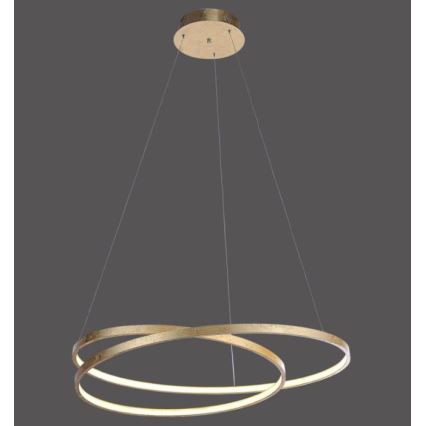 Paul Neuhaus 2474-12 - LED Dimmable chandelier on a string ROMAN LED/40W/230V gold