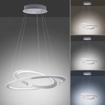Paul Neuhaus 2491-55 - LED Dimmable chandelier on a string ALESSA 2xLED/26W/230V + remote control