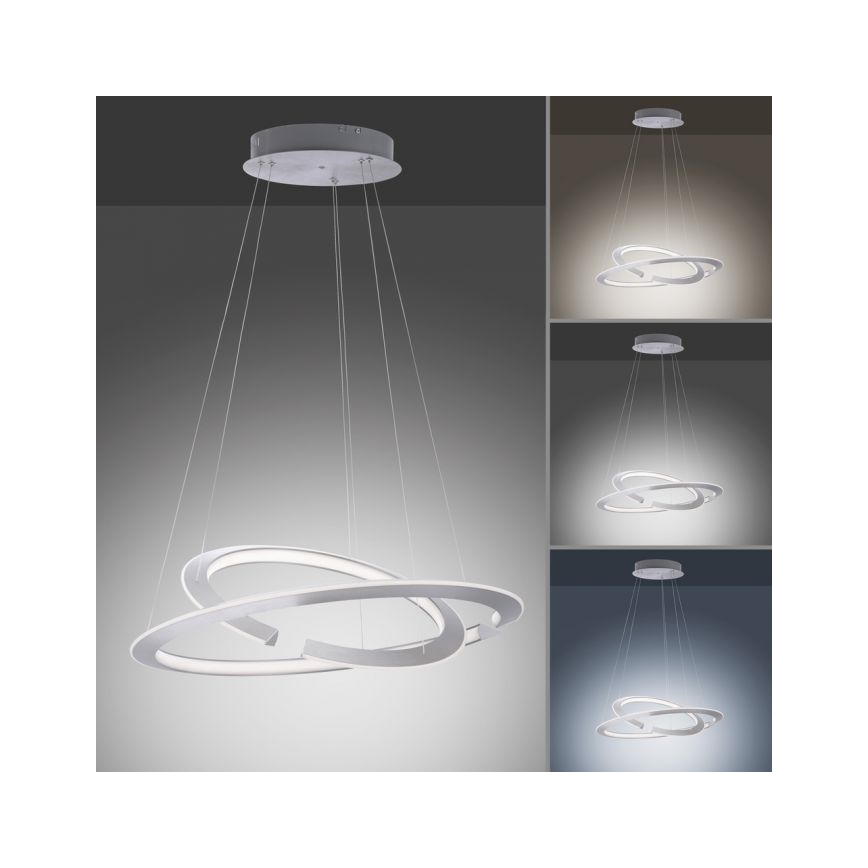 Paul Neuhaus 2491-55 - LED Dimmable chandelier on a string ALESSA 2xLED/26W/230V + remote control