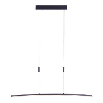 Paul Neuhaus 2530-13 - LED Dimmable chandelier on a string JANINA LED/27W/230V