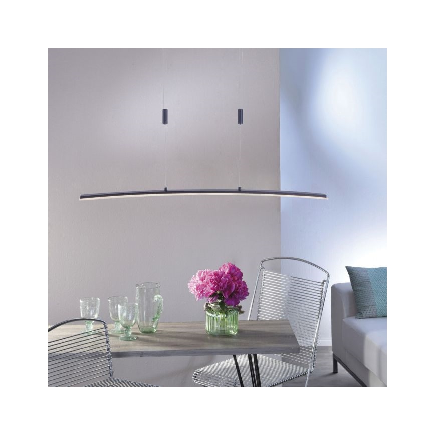 Paul Neuhaus 2530-13 - LED Dimmable chandelier on a string JANINA LED/27W/230V