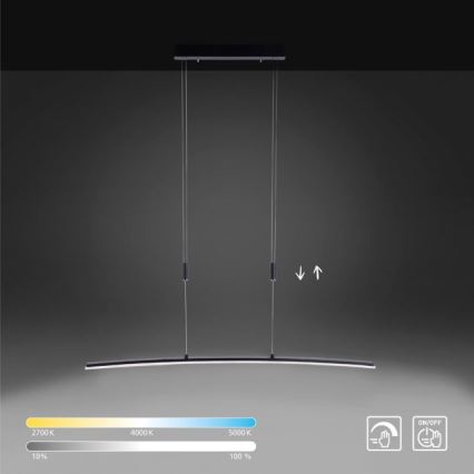Paul Neuhaus 2530-13 - LED Dimmable chandelier on a string JANINA LED/27W/230V