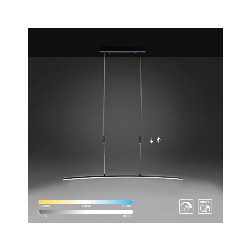 Paul Neuhaus 2530-13 - LED Dimmable chandelier on a string JANINA LED/27W/230V