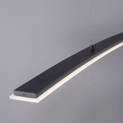Paul Neuhaus 2530-13 - LED Dimmable chandelier on a string JANINA LED/27W/230V
