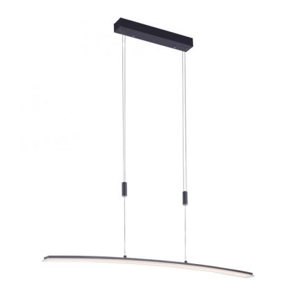 Paul Neuhaus 2530-13 - LED Dimmable chandelier on a string JANINA LED/27W/230V