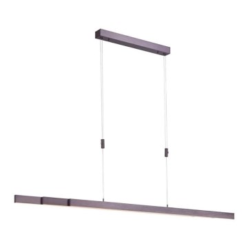 Paul Neuhaus 2568-24 - LED Dimmable chandelier on a string ADRIANA LED/14W/230V 2700-5000K