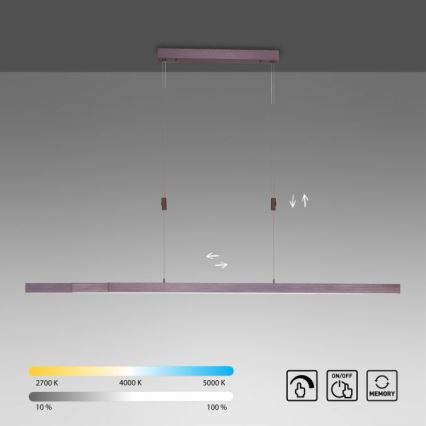 Paul Neuhaus 2568-24 - LED Dimmable chandelier on a string ADRIANA LED/14W/230V 2700-5000K
