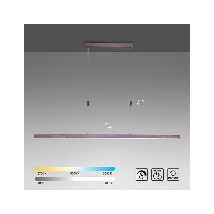 Paul Neuhaus 2568-24 - LED Dimmable chandelier on a string ADRIANA LED/14W/230V 2700-5000K