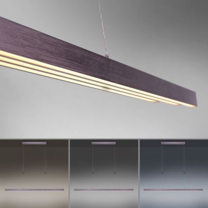 Paul Neuhaus 2568-24 - LED Dimmable chandelier on a string ADRIANA LED/14W/230V 2700-5000K