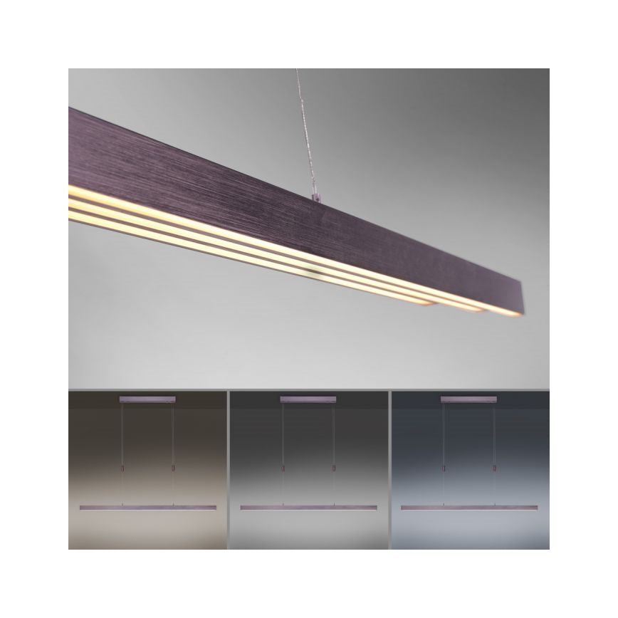 Paul Neuhaus 2568-24 - LED Dimmable chandelier on a string ADRIANA LED/14W/230V 2700-5000K