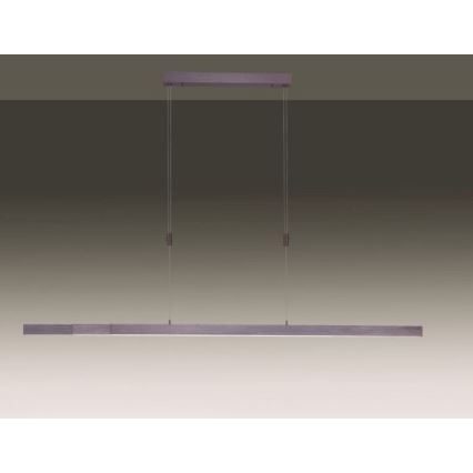 Paul Neuhaus 2568-24 - LED Dimmable chandelier on a string ADRIANA LED/14W/230V 2700-5000K