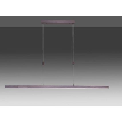 Paul Neuhaus 2568-24 - LED Dimmable chandelier on a string ADRIANA LED/14W/230V 2700-5000K