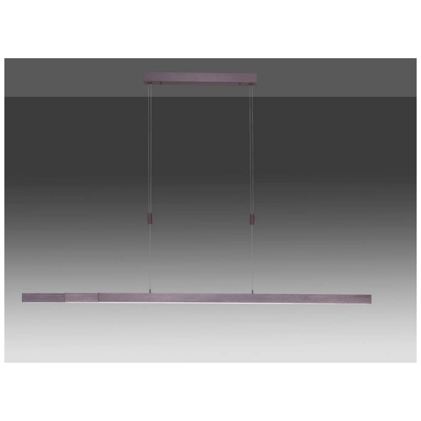Paul Neuhaus 2568-24 - LED Dimmable chandelier on a string ADRIANA LED/14W/230V 2700-5000K