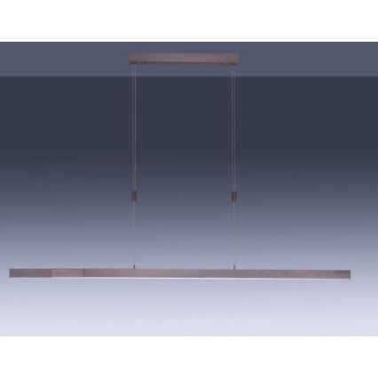 Paul Neuhaus 2568-24 - LED Dimmable chandelier on a string ADRIANA LED/14W/230V 2700-5000K