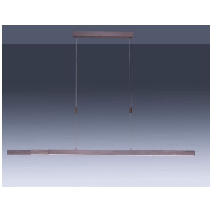 Paul Neuhaus 2568-24 - LED Dimmable chandelier on a string ADRIANA LED/14W/230V 2700-5000K