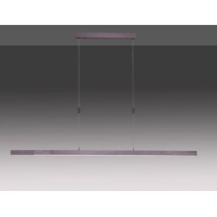 Paul Neuhaus 2568-24 - LED Dimmable chandelier on a string ADRIANA LED/14W/230V 2700-5000K