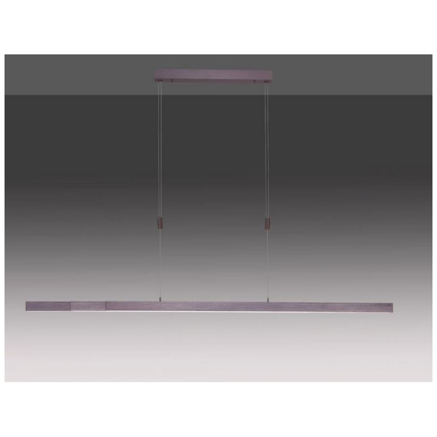 Paul Neuhaus 2568-24 - LED Dimmable chandelier on a string ADRIANA LED/14W/230V 2700-5000K