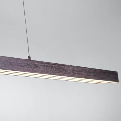 Paul Neuhaus 2568-24 - LED Dimmable chandelier on a string ADRIANA LED/14W/230V 2700-5000K