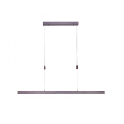 Paul Neuhaus 2568-24 - LED Dimmable chandelier on a string ADRIANA LED/14W/230V 2700-5000K