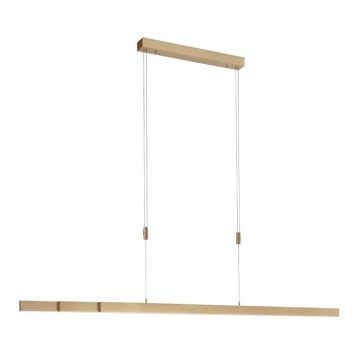Paul Neuhaus 2568-60 - LED Dimmable chandelier on a string ADRIANA LED/14W/230V  2700-5000K brass