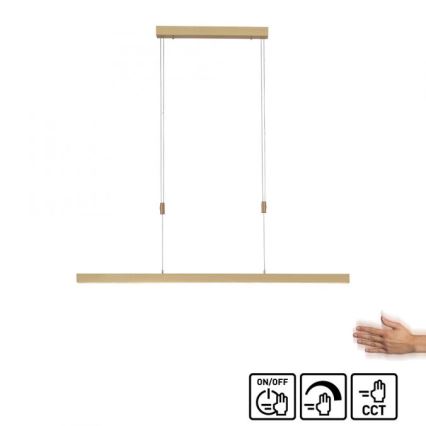Paul Neuhaus 2568-60 - LED Dimmable chandelier on a string ADRIANA LED/14W/230V  2700-5000K brass