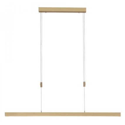 Paul Neuhaus 2568-60 - LED Dimmable chandelier on a string ADRIANA LED/14W/230V  2700-5000K brass