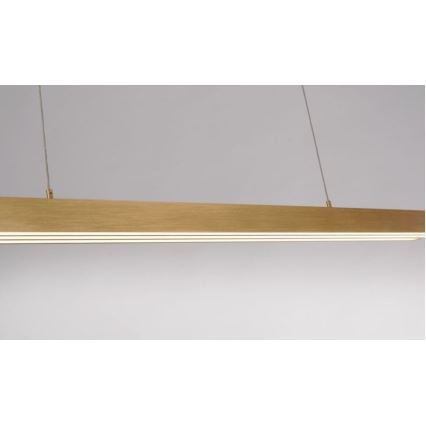 Paul Neuhaus 2568-60 - LED Dimmable chandelier on a string ADRIANA LED/14W/230V  2700-5000K brass