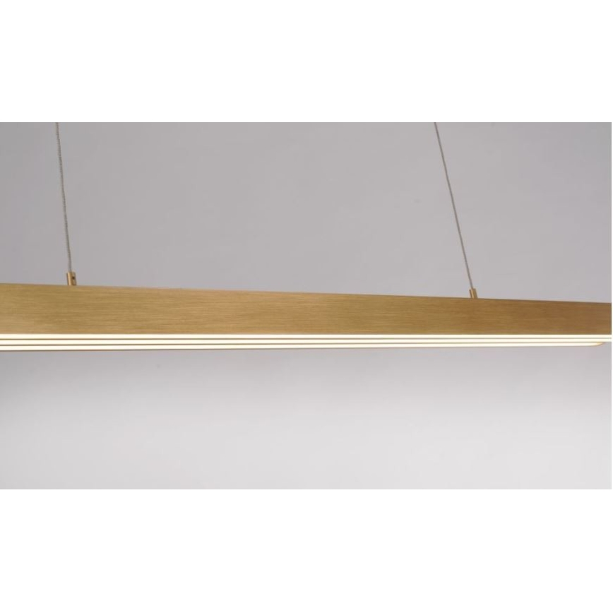 Paul Neuhaus 2568-60 - LED Dimmable chandelier on a string ADRIANA LED/14W/230V  2700-5000K brass
