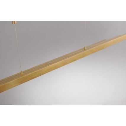 Paul Neuhaus 2568-60 - LED Dimmable chandelier on a string ADRIANA LED/14W/230V  2700-5000K brass